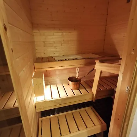 Ojuspirtti 26a 木屋