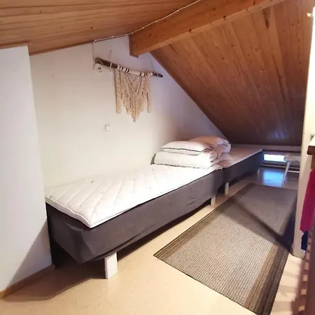 Ojuspirtti 26a 木屋 列维