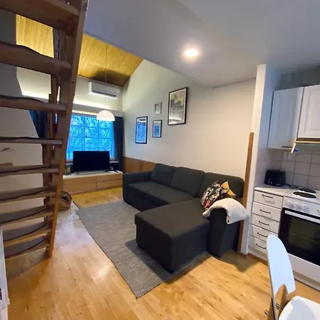 Ojuspirtti 26a Chalet *