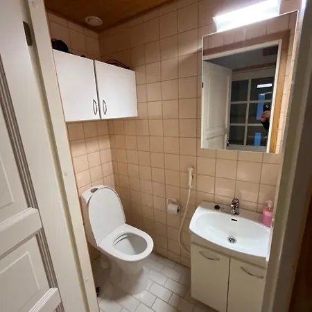 Chalet Ojuspirtti 26a Levi